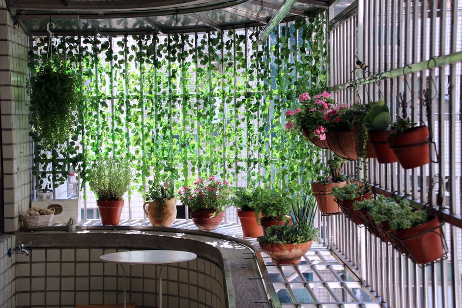 Stedelijk balkon met diverse microtuin planten.
