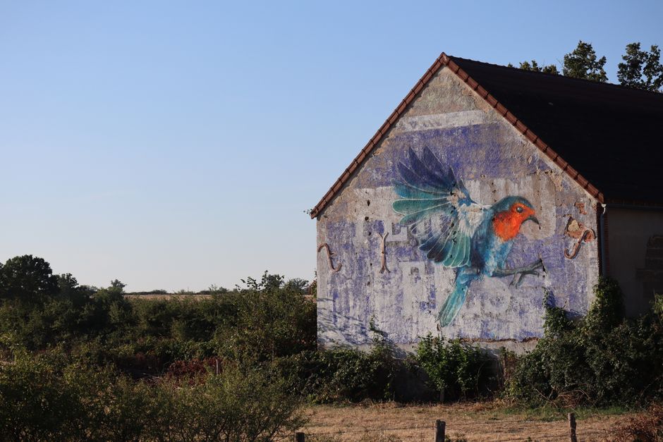 Sfeervolle schapenportret voor warme, huiselijke herfstvibe. Sfeervolle schapenportret voor warme, huiselijke herfstvibe.