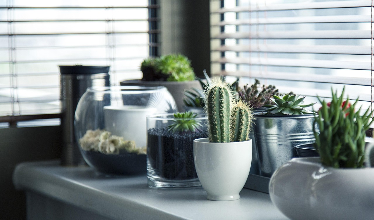 Herfstinterieur met kleurrijke cactussen en vetplantenbehang. Herfstinterieur met kleurrijke cactussen en vetplantenbehang.
